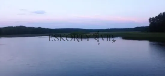 zapraszam